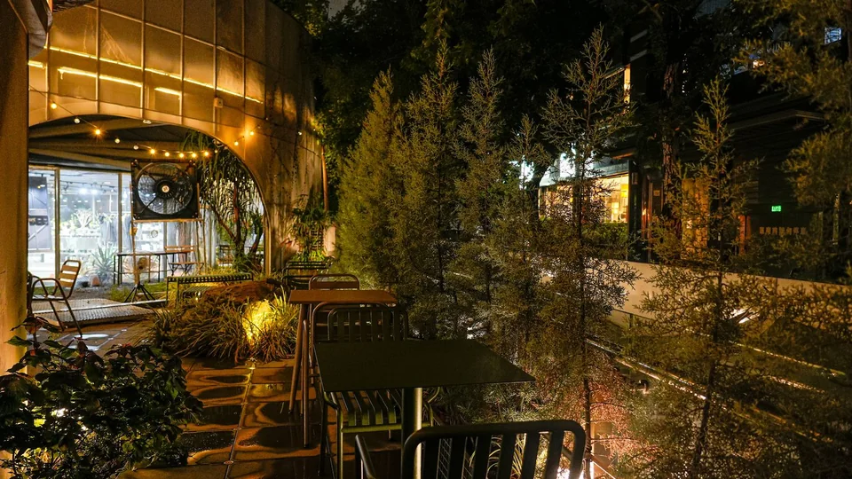 Petit Petit Bar 酒吧店家照片